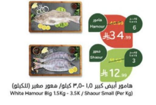 available at هايبر بنده in مملكة العربية السعودية, السعودية, سعودية - جدة