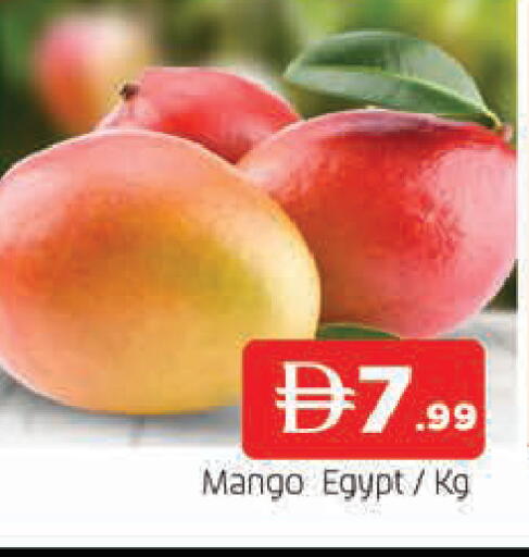 Mango from Egypt available at المدينة in الإمارات العربية المتحدة , الامارات - الشارقة / عجمان