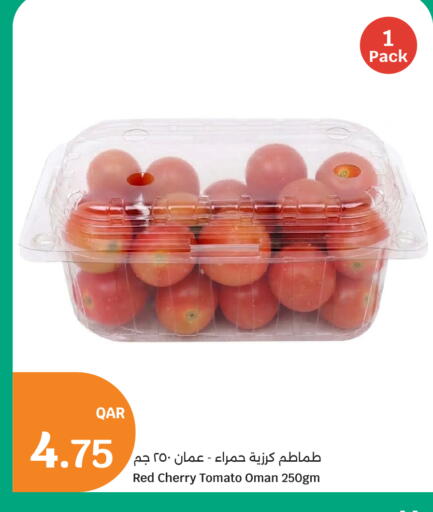 Cherry Cherry tomato from Oman available at سيتي هايبرماركت in قطر - الدوحة