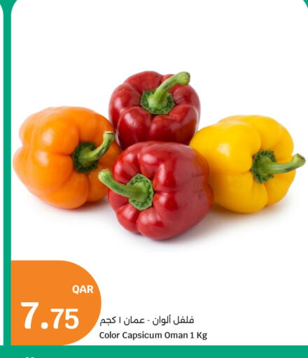 Capsicum from Oman available at سيتي هايبرماركت in قطر - الدوحة