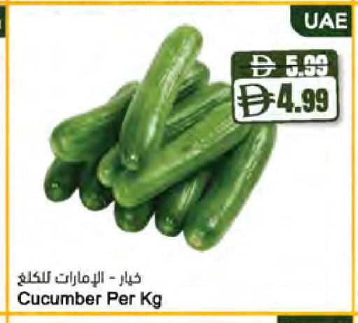 Cucumber available at المايا سوبرماركت in الإمارات العربية المتحدة , الامارات - أبو ظبي