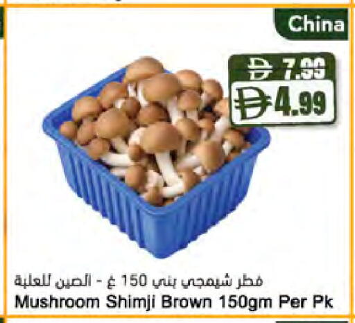 Mushroom from China available at المايا سوبرماركت in الإمارات العربية المتحدة , الامارات - أبو ظبي