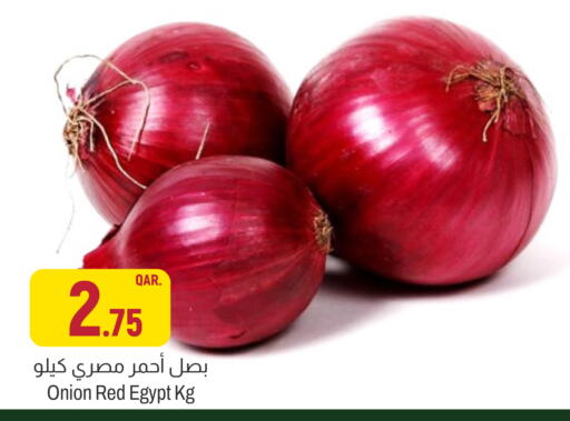 Onion from Egypt available at أسواق الملكي فرش in قطر - الخور