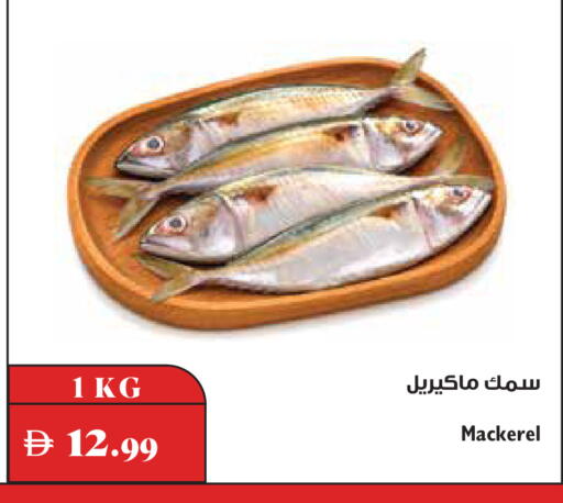 available at تروليز سوبرماركت in الإمارات العربية المتحدة , الامارات - دبي