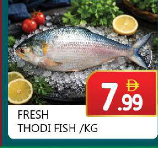 available at سوق المبارك هايبرماركت in الإمارات العربية المتحدة , الامارات - الشارقة / عجمان