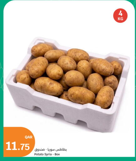 Potato from Syria available at سيتي هايبرماركت in قطر - الدوحة