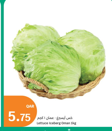 Lettuce from Oman available at سيتي هايبرماركت in قطر - الدوحة