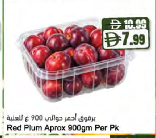 Plum available at المايا سوبرماركت in الإمارات العربية المتحدة , الامارات - أبو ظبي