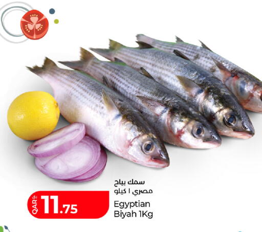 available at لولو هايبرماركت in قطر - أم صلال