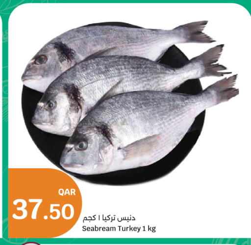 available at سيتي هايبرماركت in قطر - الدوحة