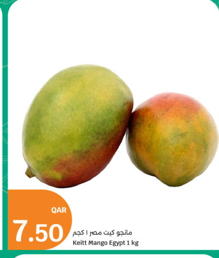 Mango from Egypt available at سيتي هايبرماركت in قطر - الدوحة