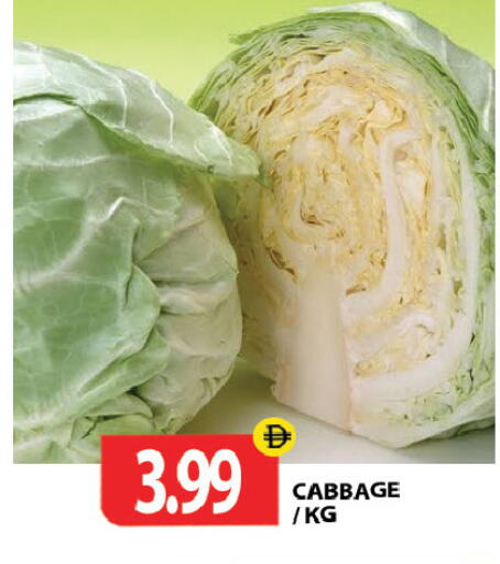 Cabbage available at Gulf Hypermarket LLC in UAE - Ras al Khaimah