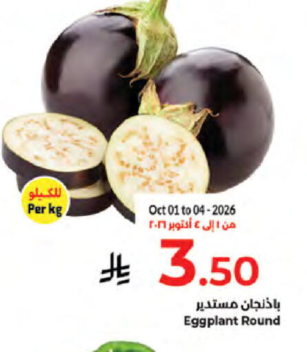 Eggplant available at كبايان هايبرماركت in مملكة العربية السعودية, السعودية, سعودية - جدة