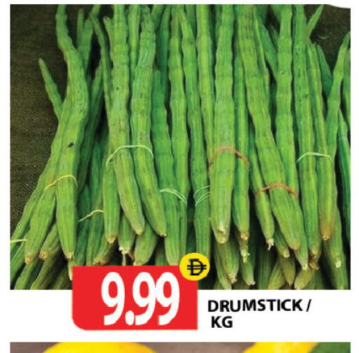available at جلف هايبرماركت ذ.م.م in الإمارات العربية المتحدة , الامارات - رَأْس ٱلْخَيْمَة