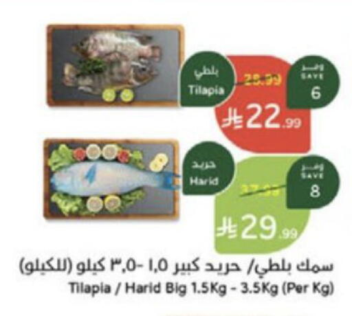 available at Hyper Panda in KSA, Saudi Arabia, Saudi - Wadi ad Dawasir