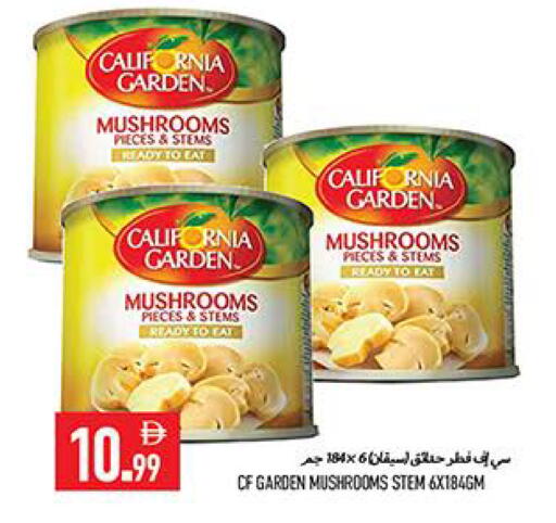 available at  روابي ماركت عجمان in الإمارات العربية المتحدة , الامارات - الشارقة / عجمان