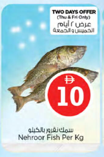 available at نستو هايبرماركت in الإمارات العربية المتحدة , الامارات - الشارقة / عجمان