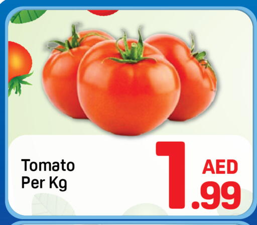 Tomato available at Day to Day Department Store in UAE - Dubai