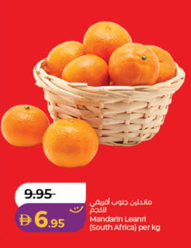 Mandarin from South Africa available at لولو هايبرماركت in الإمارات العربية المتحدة , الامارات - دبي