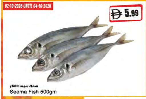 available at المايا سوبرماركت in الإمارات العربية المتحدة , الامارات - أبو ظبي
