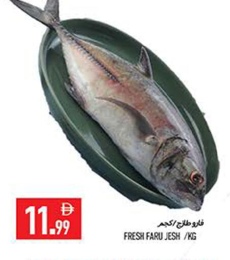 available at  روابي ماركت عجمان in الإمارات العربية المتحدة , الامارات - الشارقة / عجمان