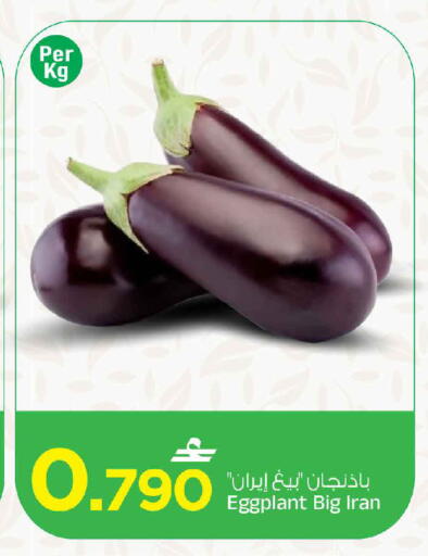 Eggplant from Iran available at مارك & سايف in عُمان - مسقط‎