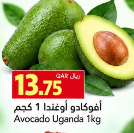 Avocado from Uganda available at Gulf Food Center in Qatar - Doha