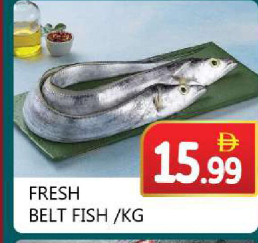 available at سوق المبارك هايبرماركت in الإمارات العربية المتحدة , الامارات - الشارقة / عجمان
