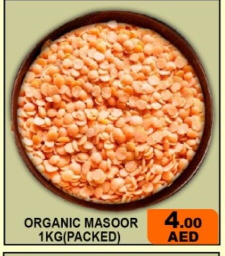available at جرين جيفت متجر أقسام in الإمارات العربية المتحدة , الامارات - دبي