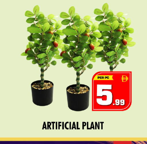 available at NIGHT TO NIGHT DEPARTMENT STORE in UAE - Dubai