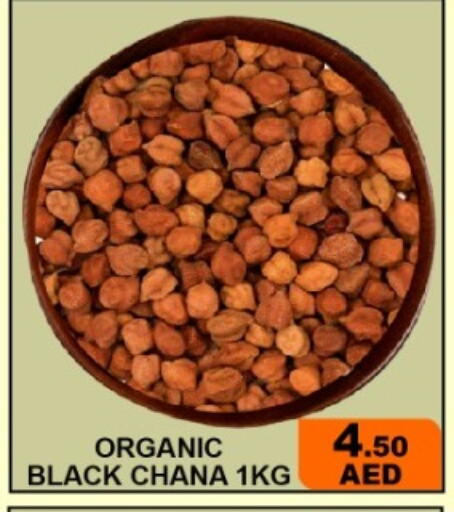 available at جرين جيفت متجر أقسام in الإمارات العربية المتحدة , الامارات - دبي