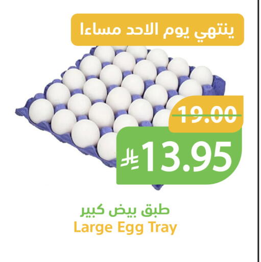 available at Qateba Markets in KSA, Saudi Arabia, Saudi - Buraidah