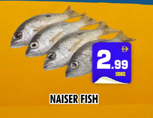 available at NIGHT TO NIGHT DEPARTMENT STORE in UAE - Dubai