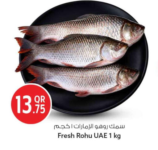 available at سفاري هايبر ماركت in قطر - الريان