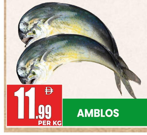 available at Centro Discount Center in UAE - Dubai