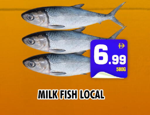 available at NIGHT TO NIGHT DEPARTMENT STORE in UAE - Dubai