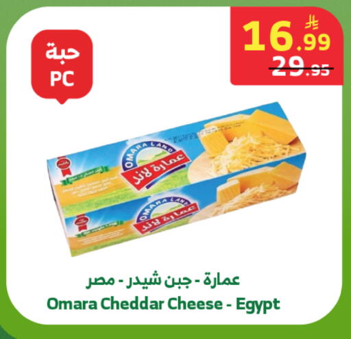 available at الراية in مملكة العربية السعودية, السعودية, سعودية - المدينة المنورة