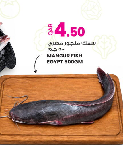 available at أنصار جاليري in قطر - الوكرة