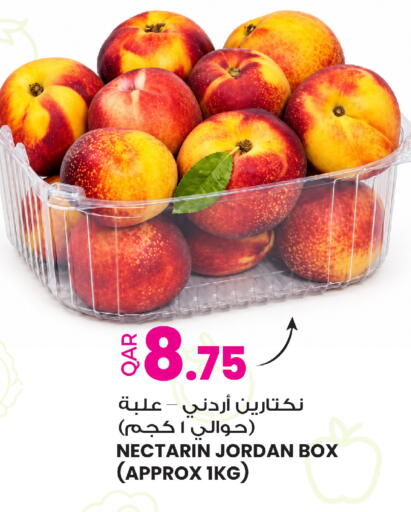 from Jordan available at أنصار جاليري in قطر - الوكرة