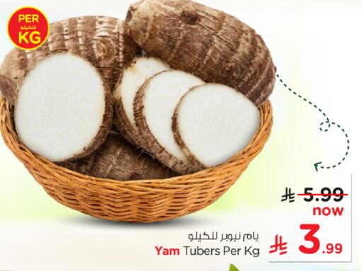 available at نستو in مملكة العربية السعودية, السعودية, سعودية - الخرج