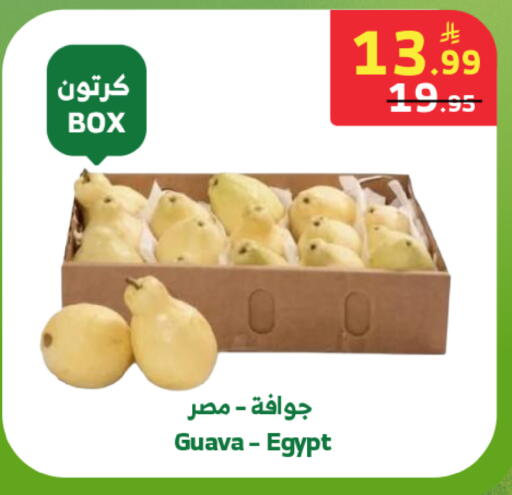 Guava from Egypt available at Al Raya in KSA, Saudi Arabia, Saudi - Yanbu