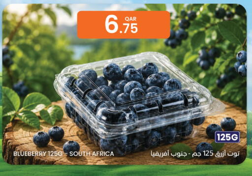Blueberry BlueBerry from South Africa available at Al Baladi Al Yawm in Qatar - Al Shamal