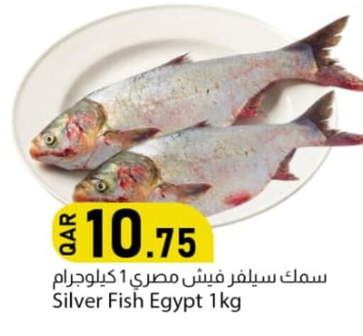 available at دانا ماركت in قطر - أم صلال
