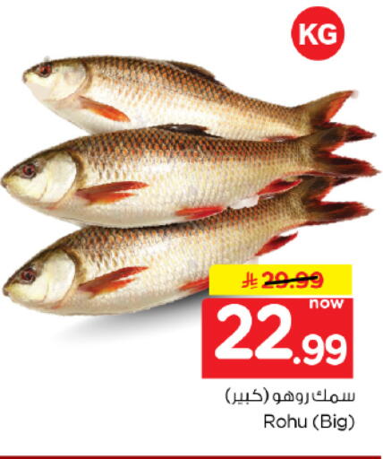 available at نستو in مملكة العربية السعودية, السعودية, سعودية - الخرج