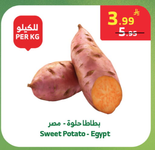 Sweet Potato from Egypt available at الراية in مملكة العربية السعودية, السعودية, سعودية - المدينة المنورة