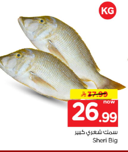 available at نستو in مملكة العربية السعودية, السعودية, سعودية - الخرج