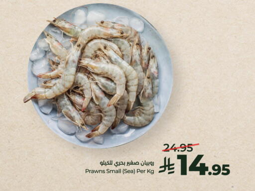 available at لولو هايبرماركت in مملكة العربية السعودية, السعودية, سعودية - الخرج
