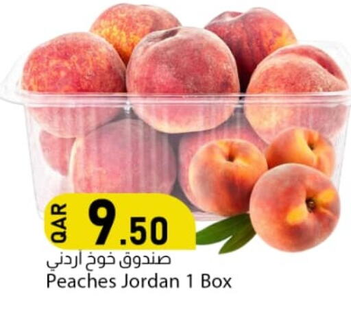 from Jordan available at دانا ماركت in قطر - أم صلال