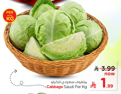 Cabbage from Saudi Arabia available at نستو in مملكة العربية السعودية, السعودية, سعودية - الخرج