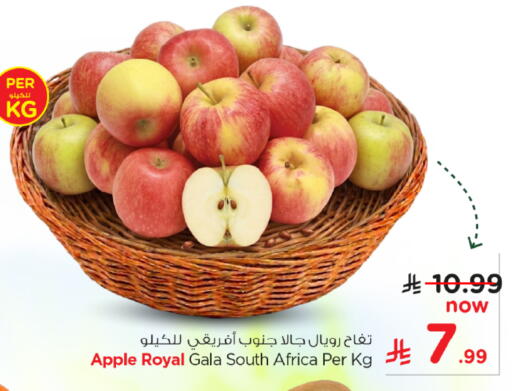 Apple from South Africa available at نستو in مملكة العربية السعودية, السعودية, سعودية - الخرج